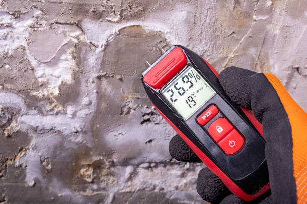 Best Mold Remediation for Schools in Jenison, MI