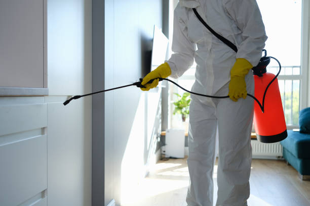 Best Industrial Mold Remediation in Jenison, MI