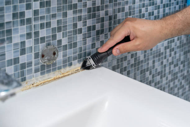 Best White Mold Remediation in Jenison, MI